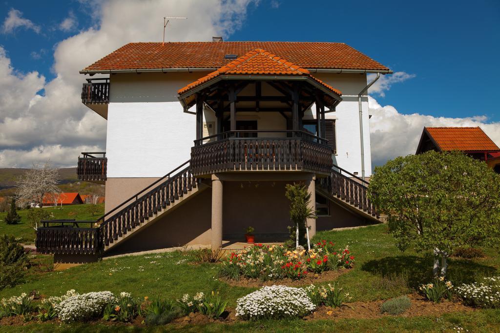 Apartments Tratincica Selište Drežničko Exterior foto