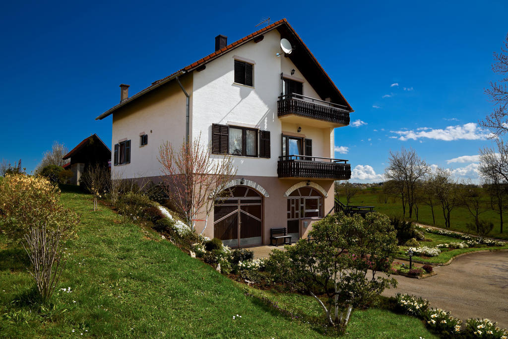 Apartments Tratincica Selište Drežničko Exterior foto
