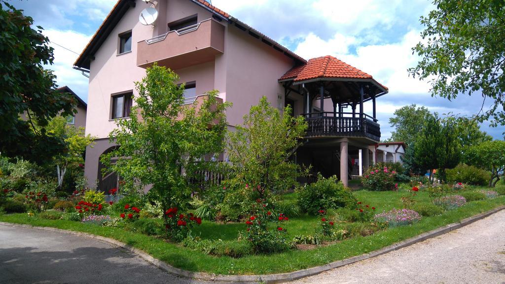 Apartments Tratincica Selište Drežničko Exterior foto