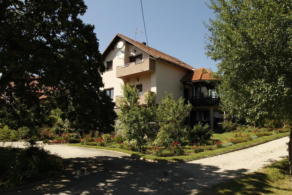 Apartments Tratincica Selište Drežničko Exterior foto