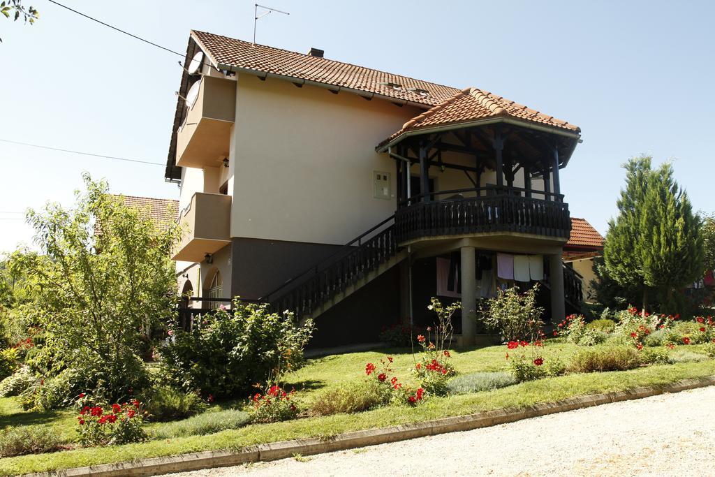 Apartments Tratincica Selište Drežničko Exterior foto
